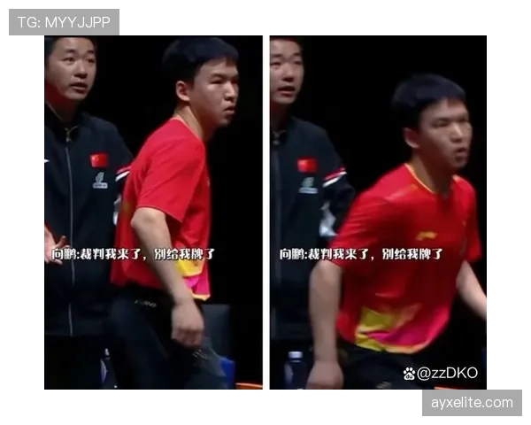 裁判出牌标准：什么动作该吃黄牌还是红牌？